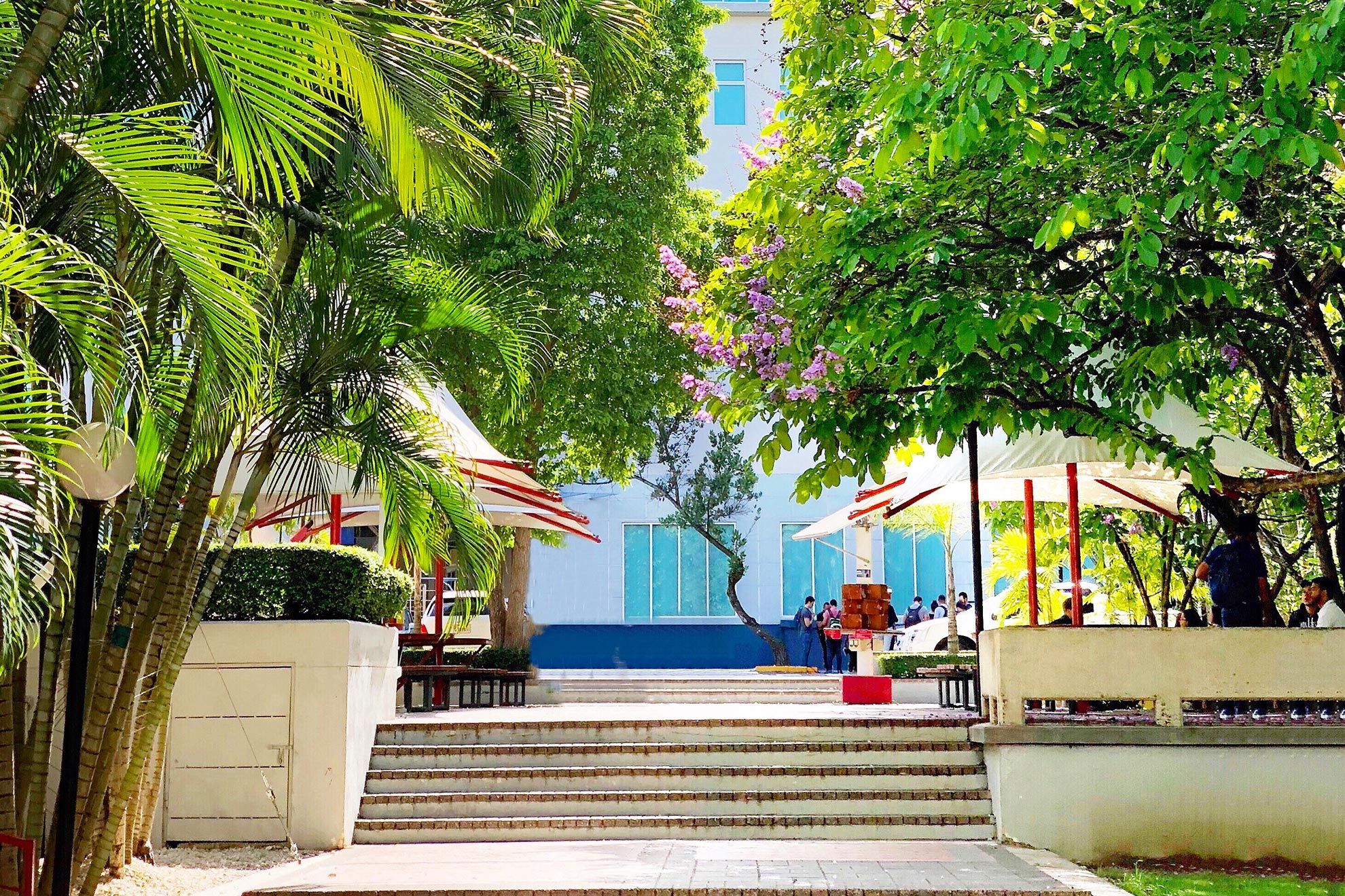 ?p=image&amp;src=%7B%22file%22%3A%22images%2FAdmisiones%2Fasistencia-financiera Instituto Tecnol&oacute;gico de Santo Domingo - Licenciatura en Biotecnolog&iacute;a