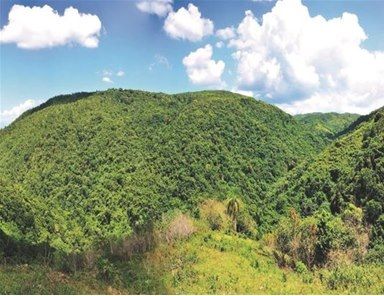 ?p=image&amp;src=%7B%22file%22%3A%22images%2Fnews%2FLoma+Miranda-5 Instituto Tecnol&oacute;gico de Santo Domingo - Estudio de Valoraci&oacute;n Econ&oacute;mica analiza la problem&aacute;tica de conservaci&oacute;n y desarrollo de Loma Miranda