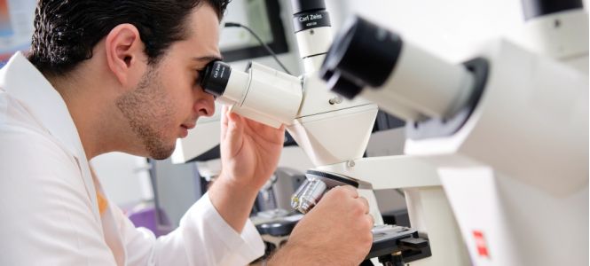 ?p=image&amp;src=%7B%22file%22%3A%22images%2Fprensa%2Finvestigacion Instituto Tecnol&oacute;gico de Santo Domingo - Notas de prensa