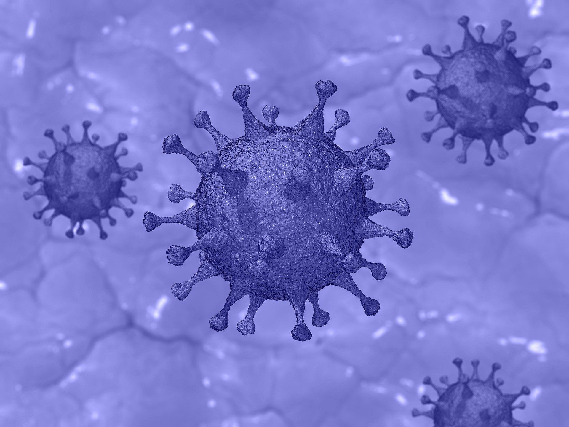 ?p=image&amp;src=%7B%22file%22%3A%22images%2Fnews%2Fcovid-19-4922384_1920 Instituto Tecnol&oacute;gico de Santo Domingo - Especialistas analizan el impacto del COVID-19 en Rep&uacute;blica Dominicana