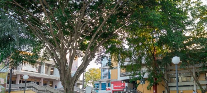 ?p=image&amp;src=%7B%22file%22%3A%22images%2Fnews%2FIMG-INTEC Instituto Tecnol&oacute;gico de Santo Domingo - Notas de prensa