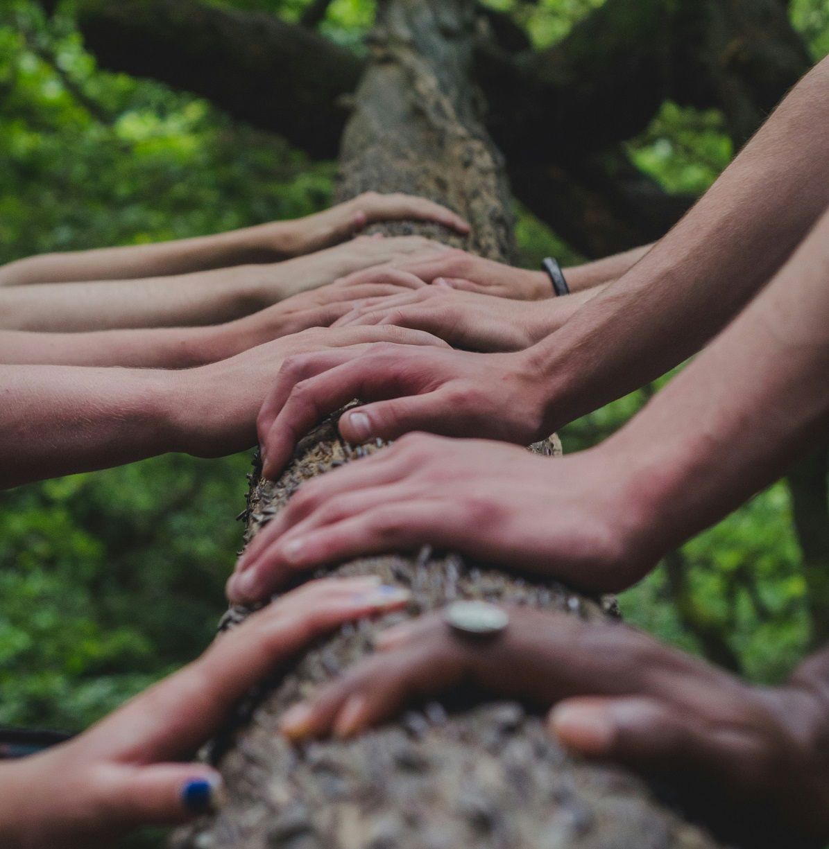 ?p=image&amp;src=%7B%22file%22%3A%22images%2Fnews%2FLiderazgo+verde Instituto Tecnol&oacute;gico de Santo Domingo - Observatorio de Cambio Clim&aacute;tico y Resiliencia del INTEC lanza Liderazgo Verde, documental que promueve la conservaci&oacute;n de la biodiversidad