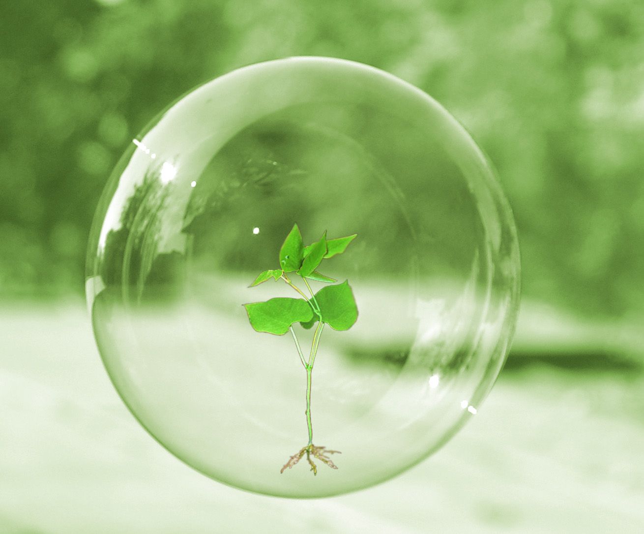 ?p=image&amp;src=%7B%22file%22%3A%22images%2Fprensa%2FBurbuja-copia Instituto Tecnol&oacute;gico de Santo Domingo - Estudiantes INTEC asesoran MYPIMES en producci&oacute;n m&aacute;s limpia