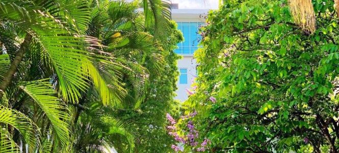 ?p=image&amp;src=%7B%22file%22%3A%22images%2Fnews%2FINTEC+campus Instituto Tecnol&oacute;gico de Santo Domingo - Notas de prensa