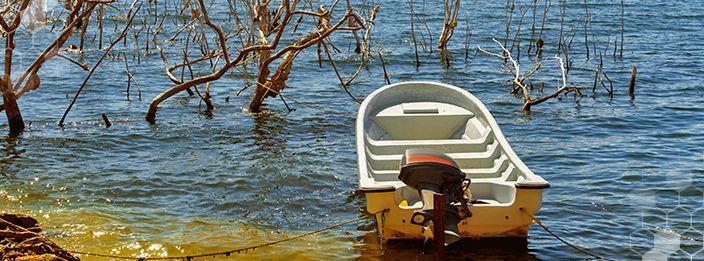 ?p=image&amp;src=%7B%22file%22%3A%22images%2Fnews%2Fciencias+ambientales Instituto Tecnol&oacute;gico de Santo Domingo - MESCyT otorgar&aacute; becas de un 80% para estudiar doctorados en el INTEC 
