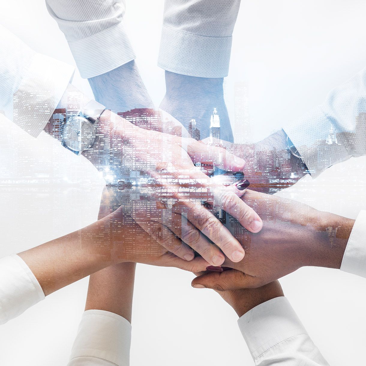 ?p=image&amp;src=%7B%22file%22%3A%22images%2Foferta-academica%2Fventajas%2F4 Instituto Tecnol&oacute;gico de Santo Domingo - Licenciatura en Biotecnolog&iacute;a