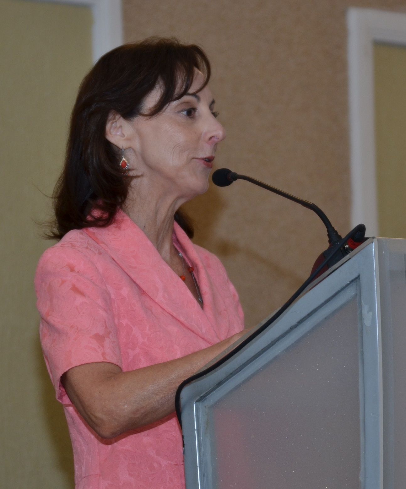 ?p=image&amp;src=%7B%22file%22%3A%22images%2Fprensa%2FFlora+Montealegre+representante+BID Instituto Tecnol&oacute;gico de Santo Domingo - BID recomienda mejorar competitividad en log&iacute;stica y carga