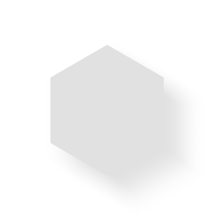 ?p=image&src=%7B%22file%22%3A%22images%2Fflesh%2Fhexagno-left Instituto Tecnológico de Santo Domingo - Carta INTEC