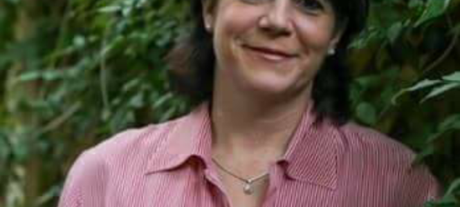 ?p=image&amp;src=%7B%22file%22%3A%22images%2Fnews%2F20170810_225526 Instituto Tecnol&oacute;gico de Santo Domingo - Notas de prensa