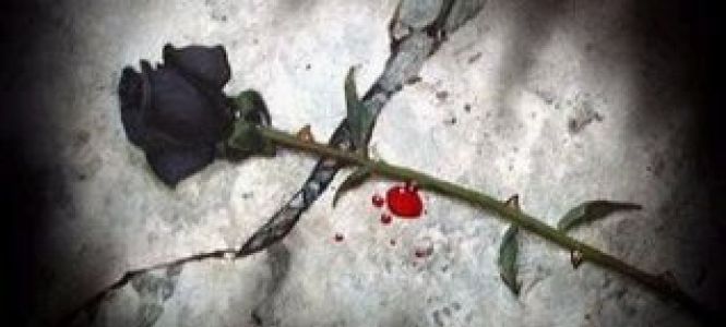 ?p=image&amp;src=%7B%22file%22%3A%22images%2Fprensa%2FRosa_negra Instituto Tecnol&oacute;gico de Santo Domingo - Notas de prensa