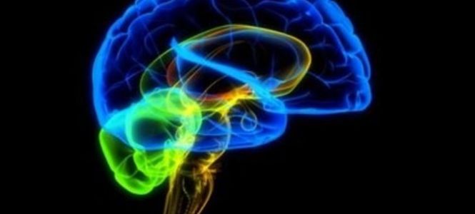 ?p=image&amp;src=%7B%22file%22%3A%22images%2Fprensa%2Fneuropedagogia Instituto Tecnol&oacute;gico de Santo Domingo - Notas de prensa