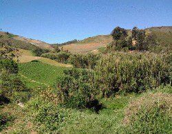 ?p=image&amp;src=%7B%22file%22%3A%22images%2Fprensa%2F307 Instituto Tecnol&oacute;gico de Santo Domingo - Agricultura, pesticidas y basura han degradado de forma &ldquo;alarmante&rdquo; micro-cuenca Arroyo Cruz de Cuaba