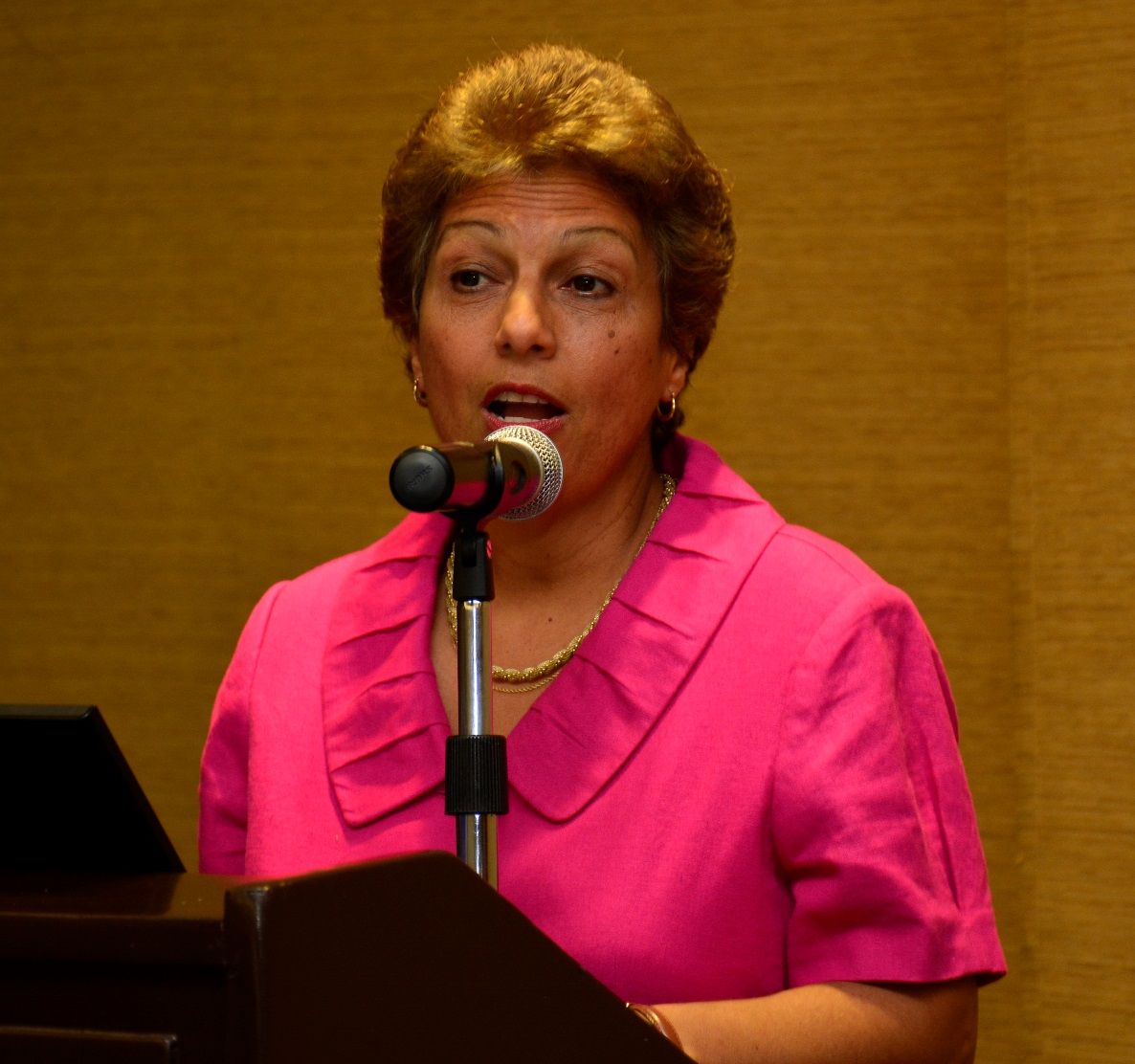 ?p=image&amp;src=%7B%22file%22%3A%22images%2Fprensa%2F_DSC1635 Instituto Tecnol&oacute;gico de Santo Domingo - Presentan Encuesta Bar&oacute;metro de las Am&eacute;ricas 