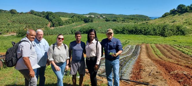 ?p=image&amp;src=%7B%22file%22%3A%22images%2Fnews%2FFoto08-02 Instituto Tecnol&oacute;gico de Santo Domingo - Notas de prensa