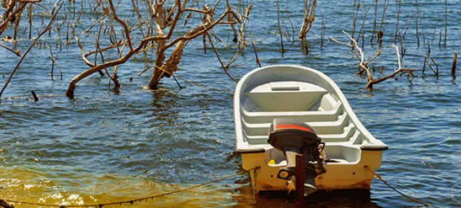 ?p=image&amp;src=%7B%22file%22%3A%22images%2Fnews%2Fciencias+ambientales Instituto Tecnol&oacute;gico de Santo Domingo - Notas de prensa