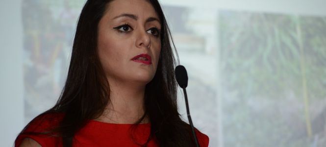 ?p=image&amp;src=%7B%22file%22%3A%22images%2Fnews%2FMenzerPehlivan Instituto Tecnol&oacute;gico de Santo Domingo - Notas de prensa