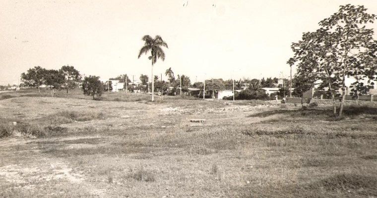?p=image&amp;src=%7B%22file%22%3A%22images%2Facerca-de-intec%2Fdatos-e-historia%2F70%2F1979-Terreno Instituto Tecnol&oacute;gico de Santo Domingo - Historia