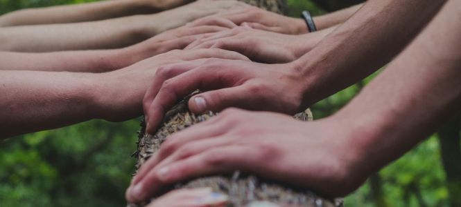 ?p=image&amp;src=%7B%22file%22%3A%22images%2Fnews%2FLiderazgo+verde Instituto Tecnol&oacute;gico de Santo Domingo - Notas de prensa