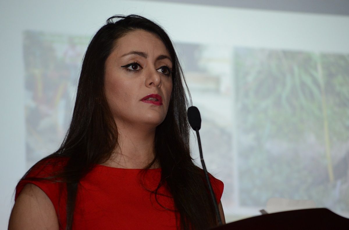 ?p=image&amp;src=%7B%22file%22%3A%22images%2Fnews%2FMenzerPehlivan Instituto Tecnol&oacute;gico de Santo Domingo - &iquest;Cu&aacute;nto se puede aprender de un terremoto?  