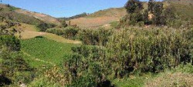 ?p=image&amp;src=%7B%22file%22%3A%22images%2Fprensa%2F307 Instituto Tecnol&oacute;gico de Santo Domingo - Notas de prensa