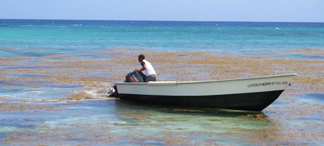 ?p=image&amp;src=%7B%22file%22%3A%22images%2Fprensa%2FIMG_0806+223 Instituto Tecnol&oacute;gico de Santo Domingo - Notas de prensa