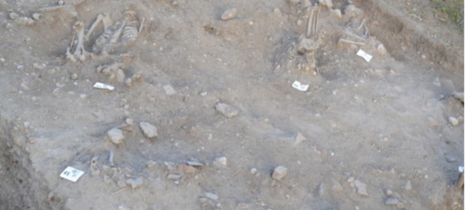 ?p=image&amp;src=%7B%22file%22%3A%22images%2Fprensa%2FRestos+indgenas Instituto Tecnol&oacute;gico de Santo Domingo - Notas de prensa