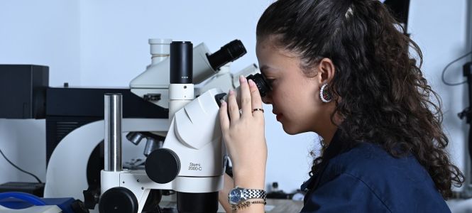 ?p=image&amp;src=%7B%22file%22%3A%22images%2Fnews%2FLabEnsayodeMateriales-1 Instituto Tecnol&oacute;gico de Santo Domingo - Notas de prensa