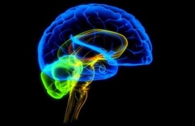 ?p=image&amp;src=%7B%22file%22%3A%22images%2Fprensa%2Fneuropedagogia Instituto Tecnol&oacute;gico de Santo Domingo - Inician Primer Diplomado de Neuropedagog&iacute;a aplicada a la Lectura, Escritura y Matem&aacute;tica