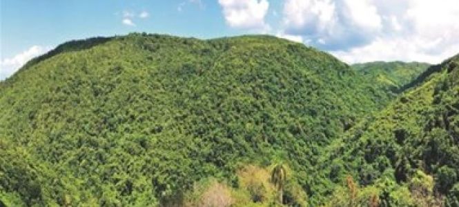 ?p=image&amp;src=%7B%22file%22%3A%22images%2Fnews%2FLoma+Miranda-5 Instituto Tecnol&oacute;gico de Santo Domingo - Notas de prensa profesorados