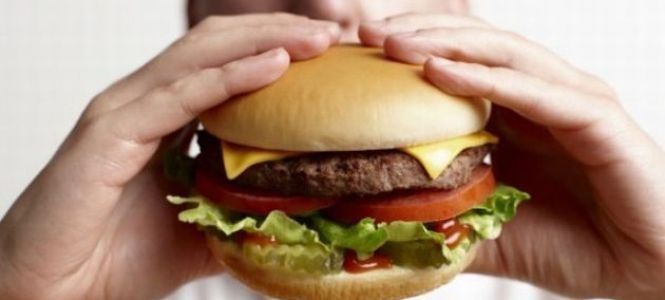 ?p=image&amp;src=%7B%22file%22%3A%22images%2Fnews%2Fcomida-rapida-news Instituto Tecnol&oacute;gico de Santo Domingo - Notas de prensa