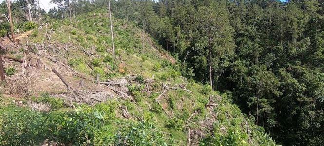 ?p=image&amp;src=%7B%22file%22%3A%22images%2Fnews%2FRio+Nigua Instituto Tecnol&oacute;gico de Santo Domingo - Notas de prensa