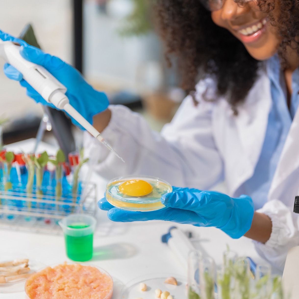 ?p=image&amp;src=%7B%22file%22%3A%22images%2Foferta-academica%2Fgrado%2FCBA%2Fbiotecnologia-intro Instituto Tecnol&oacute;gico de Santo Domingo - Ciencias B&aacute;sicas y Ambientales