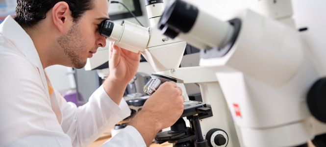 ?p=image&amp;src=%7B%22file%22%3A%22images%2Fprensa%2F9738 Instituto Tecnol&oacute;gico de Santo Domingo - Notas de prensa