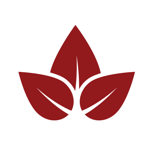 cba Instituto Tecnol&oacute;gico de Santo Domingo - Uncategorised