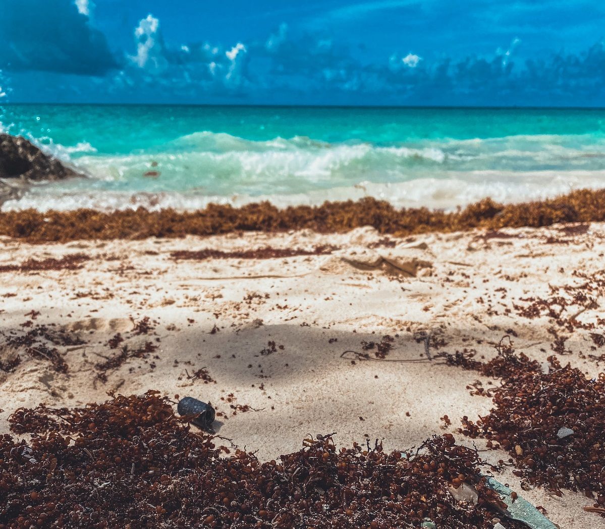 Foto%20de%20Naja%20Bertolt%20Jensen%20en%20Unsplash-093dc901 image Foto%20de%20Naja%20Bertolt%20Jensen%20en%20Unsplash-093dc901 Instituto Tecnológico de Santo Domingo - INTEC respalda propuesta creación fondo público-privado para enfrentar sargazo