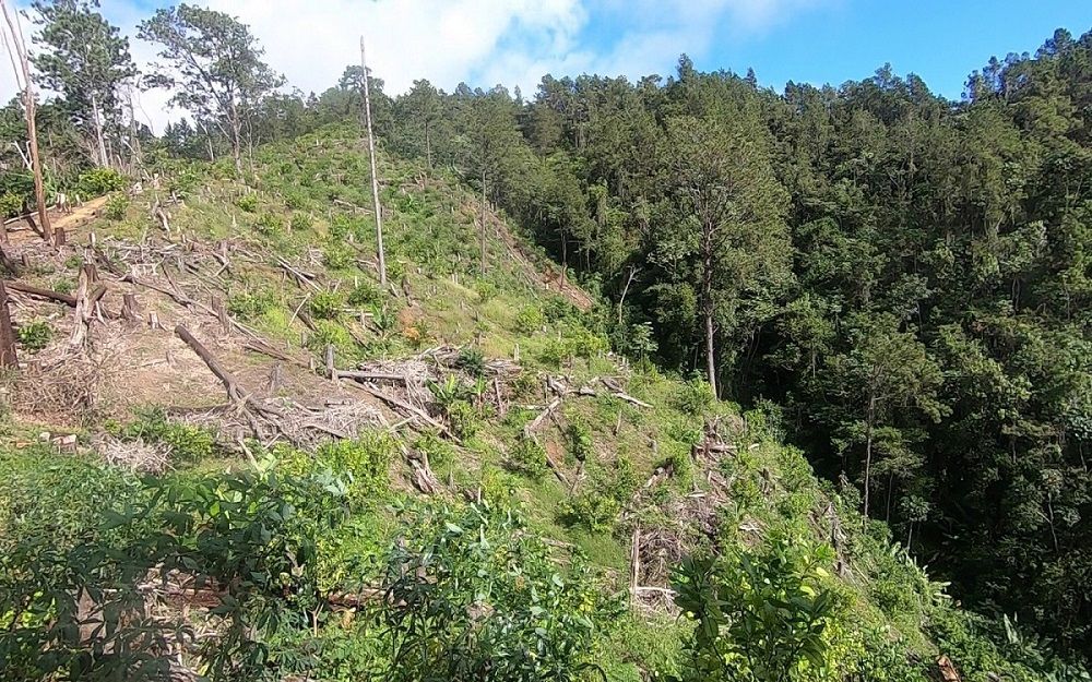 Rio%20Nigua-24e0ba7e image Rio%20Nigua-24e0ba7e Instituto Tecnológico de Santo Domingo - Evalúan percepción de riesgo ante eventos asociados al cambio climático de los residentes en la cuenca del Río Nigua