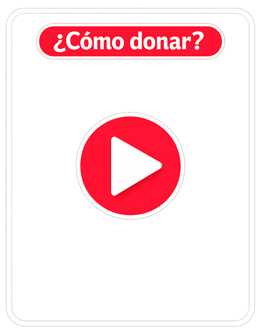 play-696bf959 Instituto Tecnol&oacute;gico de Santo Domingo - Becas